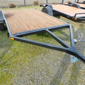 IRON EAGLE 6X10 #15993