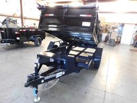 IRON PANTHER 5x8 #14321